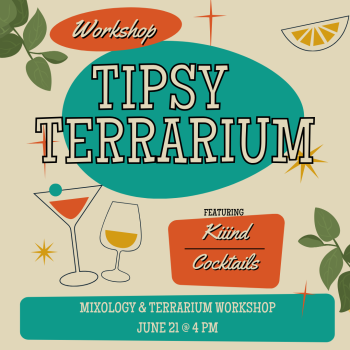 Kiiind Cocktails, Tipsy Terrarium